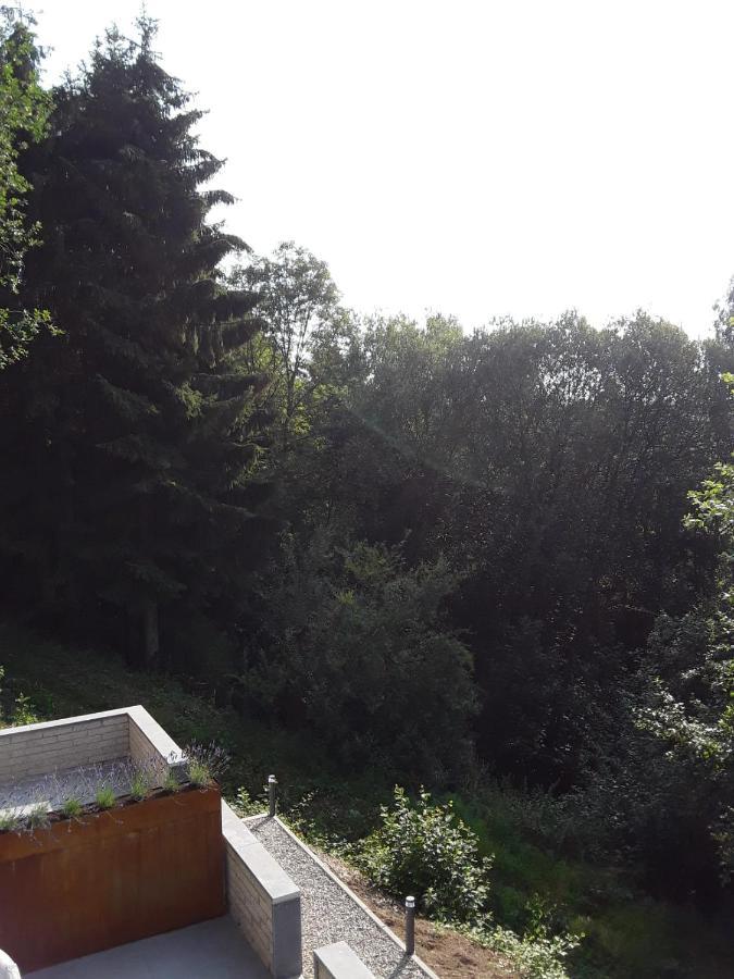 Appartamento Terrasses De Malmedy - Duplex 419 Esterno foto
